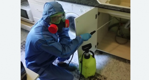 Уничтожение муравьев в квартире. Исилькуль