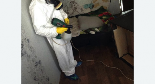 Обработка квартир от насекомых в Исилькуле