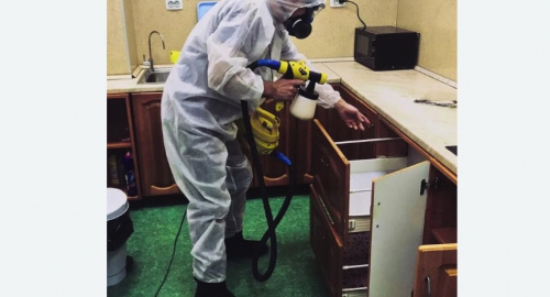 Дезинсекция квартиры. Исилькуль