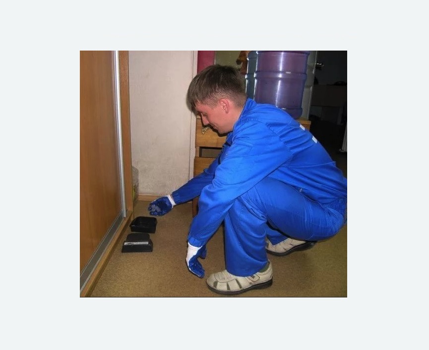 Дератизация крыс в Исилькуле