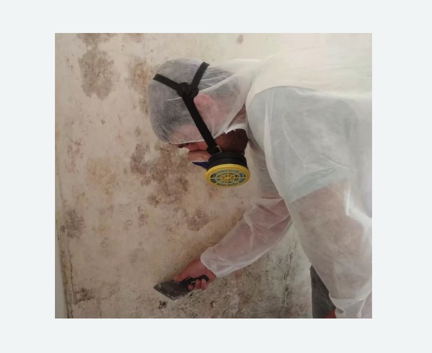 Обработка стен от плесени в Исилькуле