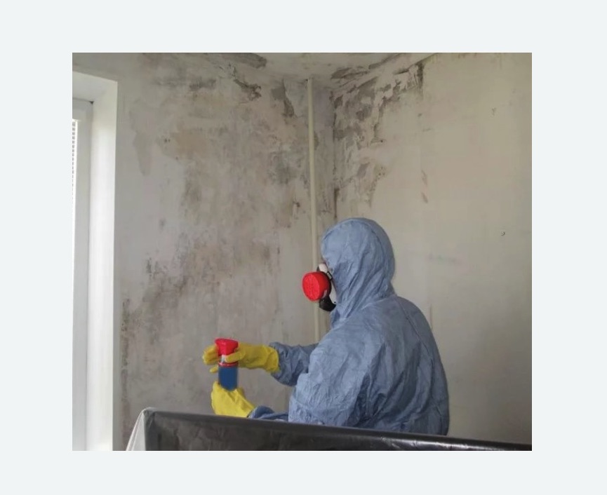 Удаление плесени в квартире в Исилькуле
