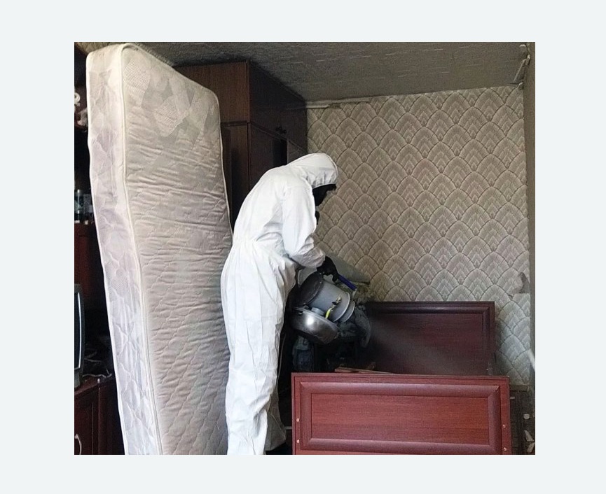 дезинфекция от клопов в Исилькуле