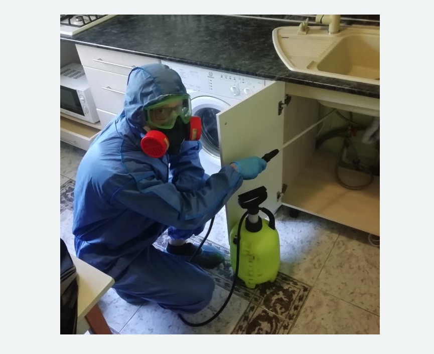 обработка от муравьев в квартире в Исилькуле