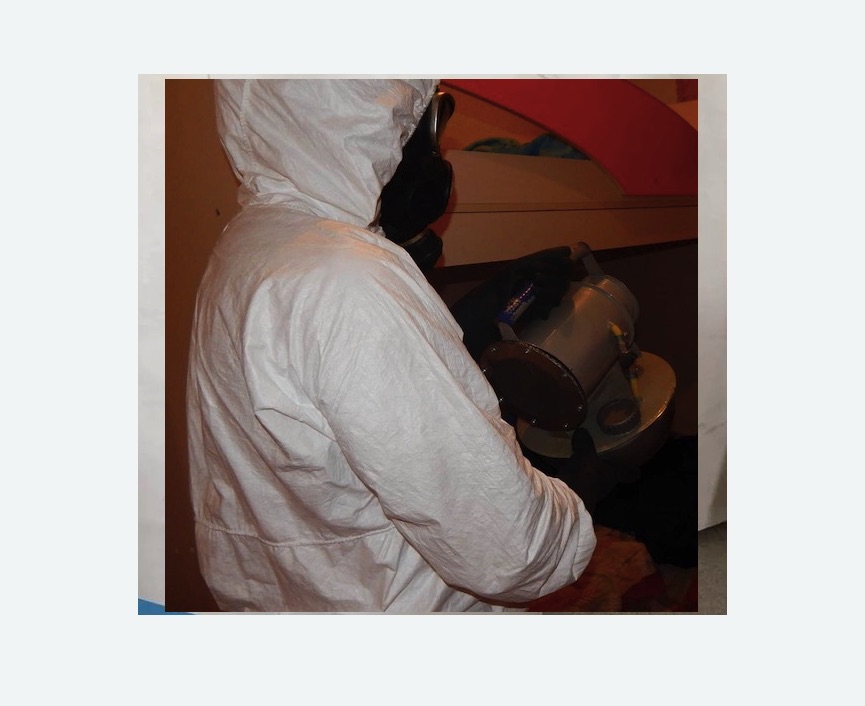 Дезинфекция от муравьев в Исилькуле