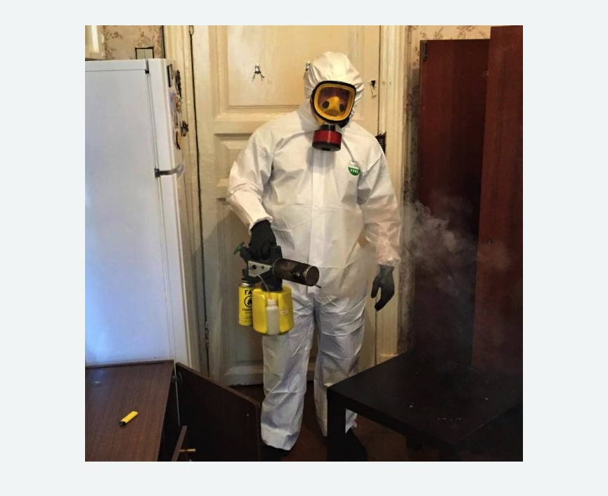 уничтожение муравьев в квартире в Исилькуле